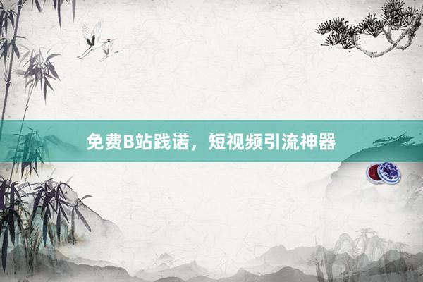 免费B站践诺，短视频引流神器