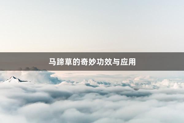 马蹄草的奇妙功效与应用